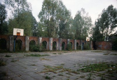 883939 Gezicht op de ruïne van de steen- en dakpannenfabriek De Liesbosch (Liesbosweg 2) te Utrecht.